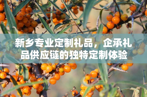 新乡专业定制礼品，企承礼品供应链的独特定制体验